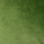 Cargar imagen en el visor de la galería, McAlister Textiles Matt Fern Green Velvet Curtains Tailored Curtains