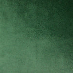Cargar imagen en el visor de la galería, McAlister Textiles Matt Moss Green Piped Velvet Cushion Cushions and Covers