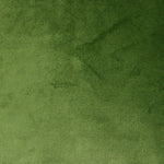 Cargar imagen en el visor de la galería, McAlister Textiles Matt Fern Green Piped Velvet Cushion Cushions and Covers