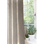 Cargar imagen en el visor de la galería, McAlister Textiles Matt Beige Mink Velvet Curtains Curtains &amp; Drapes 
