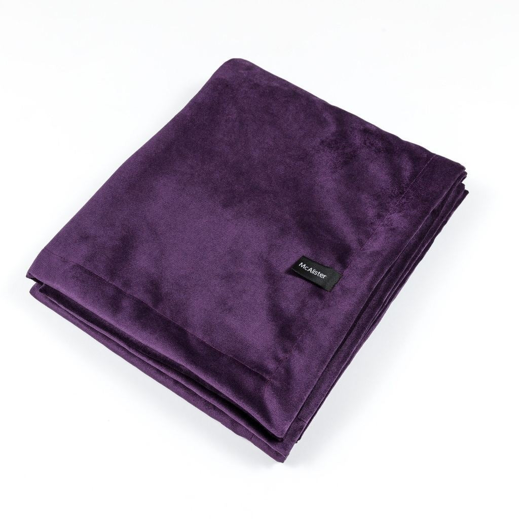 McAlister Textiles Matt Aubergine Purple Velvet Throw Blankets & Runners Throws and Runners Regular (130cm x 200cm) 