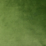 Cargar imagen en el visor de la galería, McAlister Textiles Matt Fern Green Velvet Fabric Fabrics 1 Metre 
